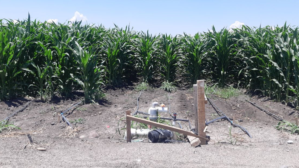 Consejo Estatal Agroalimentario recomienda no ‘malgastar’ insumos en el campo