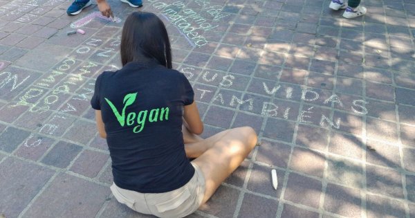 ‘Tizatón’ promueve el respeto a los animales y el veganismo en León