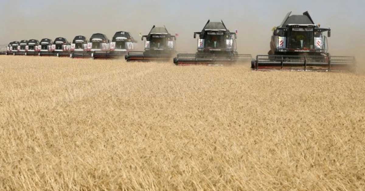 Rusia y Ucrania firman acuerdo por exportaciones de grano, pero guerra sigue