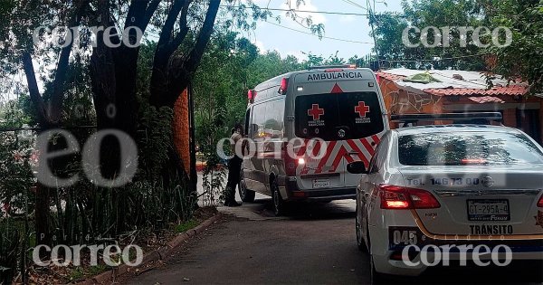 Niño traspasa seguridad en Zoológico de León y es atacado por un jaguar