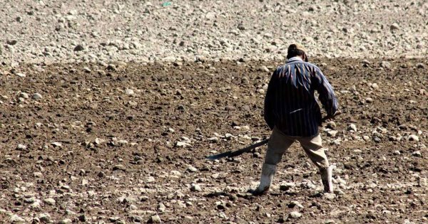 SDAyR alista seguro para el campo en Guanajuato ante falta de lluvias