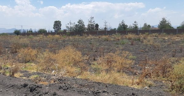 Loza de los Padres, primera zona de León afectada por sequía; SAPAL inicia trabajos