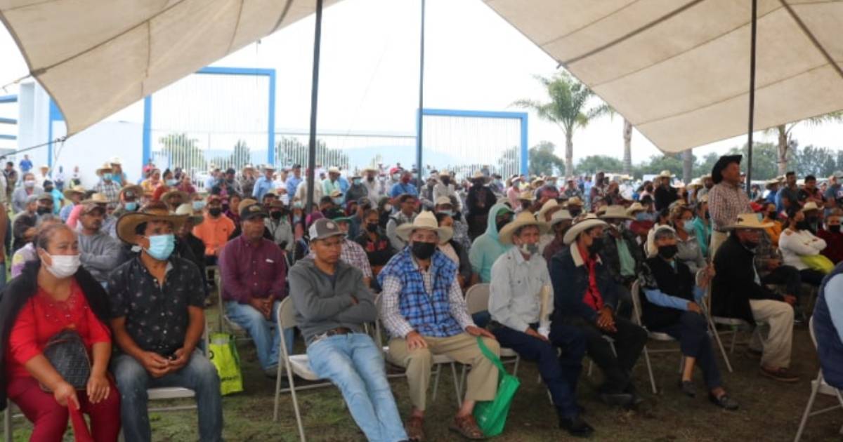 Campesinos de Acámbaro reciben 348 toneladas de fertilizante