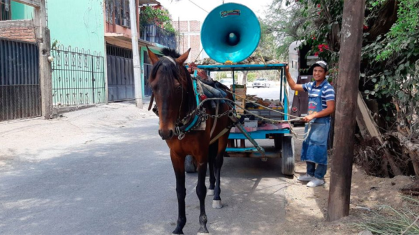 León: Identifican a más de 50 personas que utilizan animales para tirar carretas