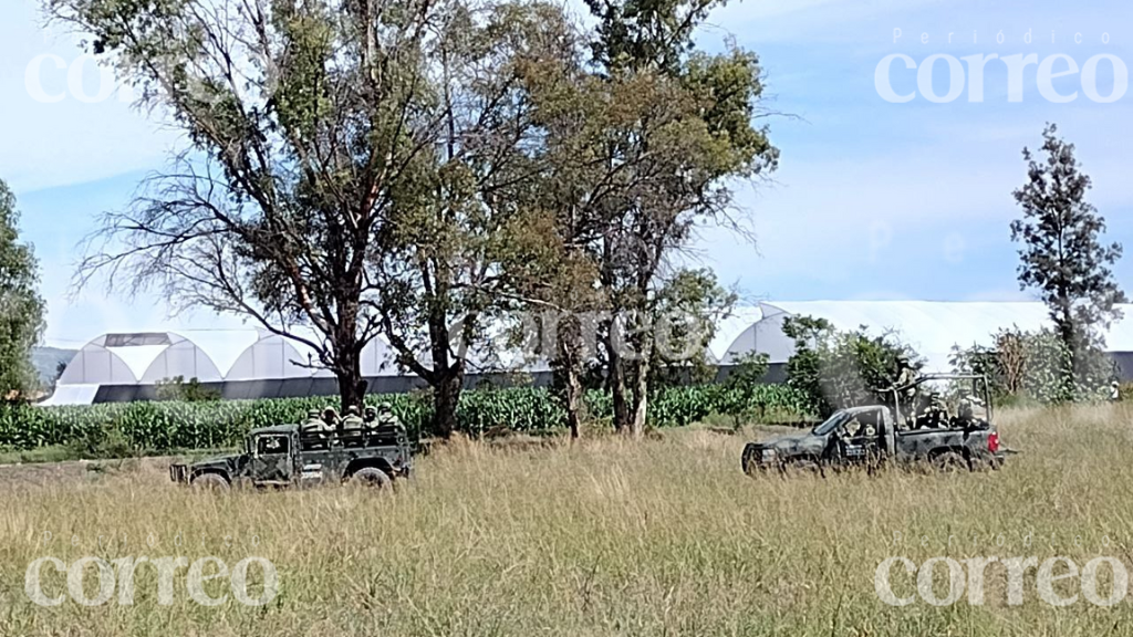 Hallan a tres hombres en un camino de Celaya con un disparo en la cabeza