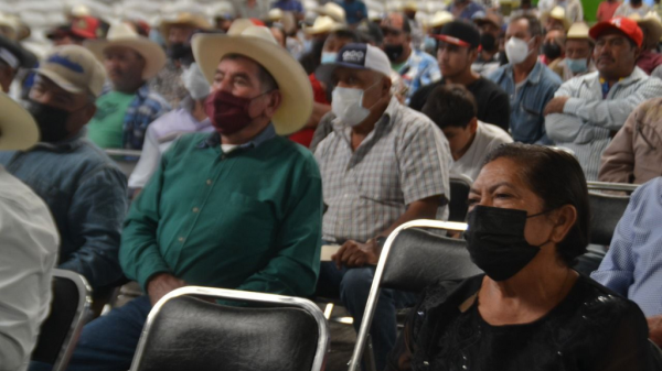 Salamanca: Campesinos de temporal piden apoyo al Gobierno tras pérdidas por falta de lluvias