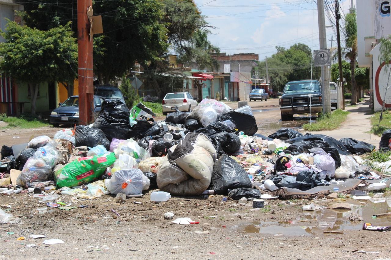 Basura en Silao invade las calles, árboles, postes y  hasta las ventanas…