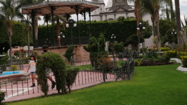 Don Ignacio, el jardinero artístico de Acámbaro