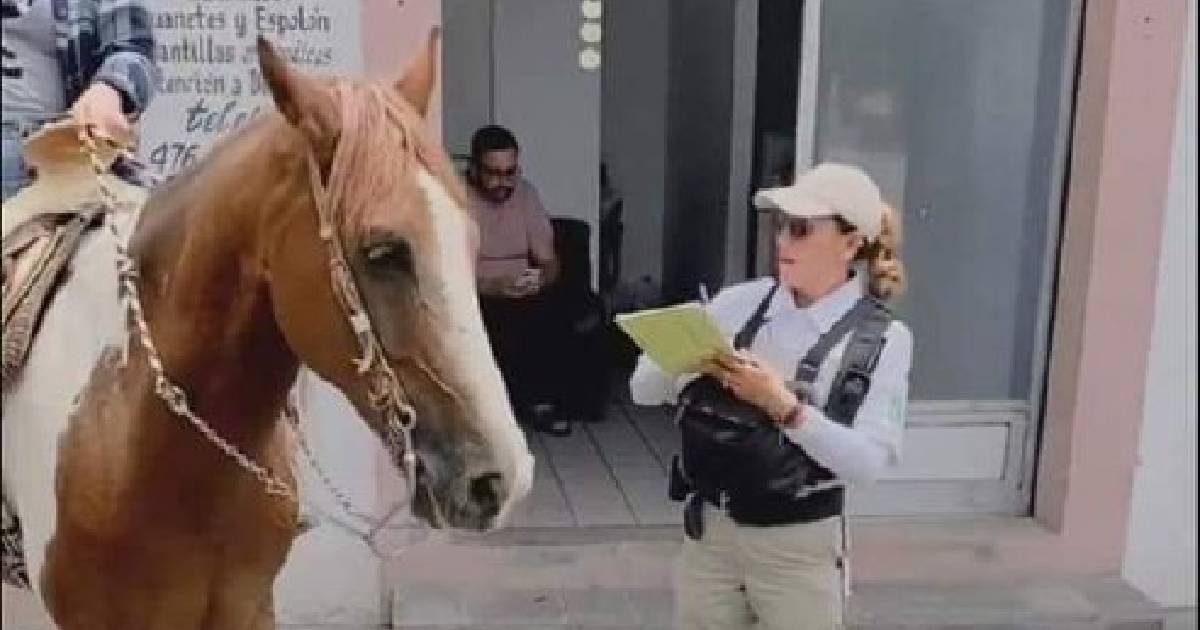 ‘Infraccionan’ a caballos en Purísima del Rincón, ¿la multa? recoger sus heces, pero la libran