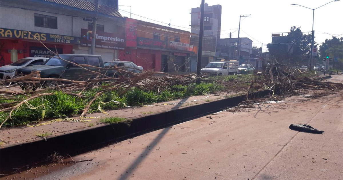 Intensa lluvia en León deja 25 árboles caídos y 100 vehículos varados