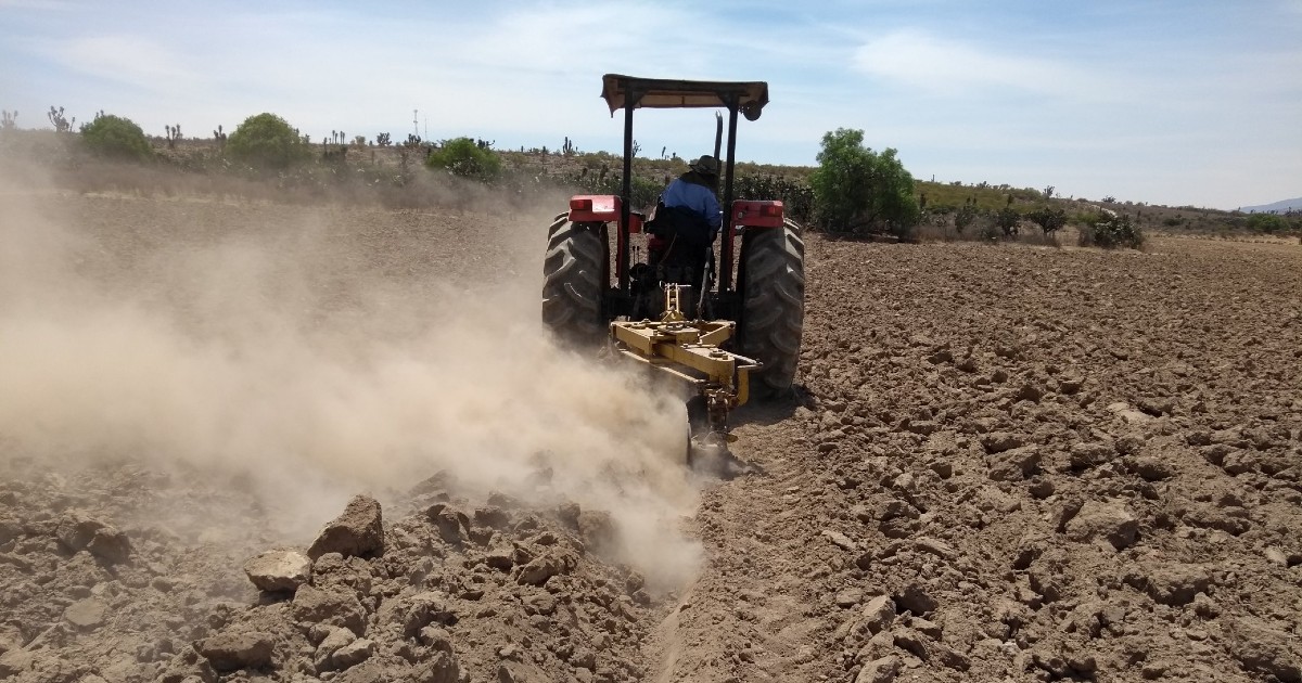 No habrá cosechas de temporal en Salamanca: agricultores temen aumento de precios