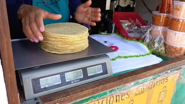 Precio de la tortilla en Guanajuato continúa al alza; llega a los 25 pesos en Salamanca