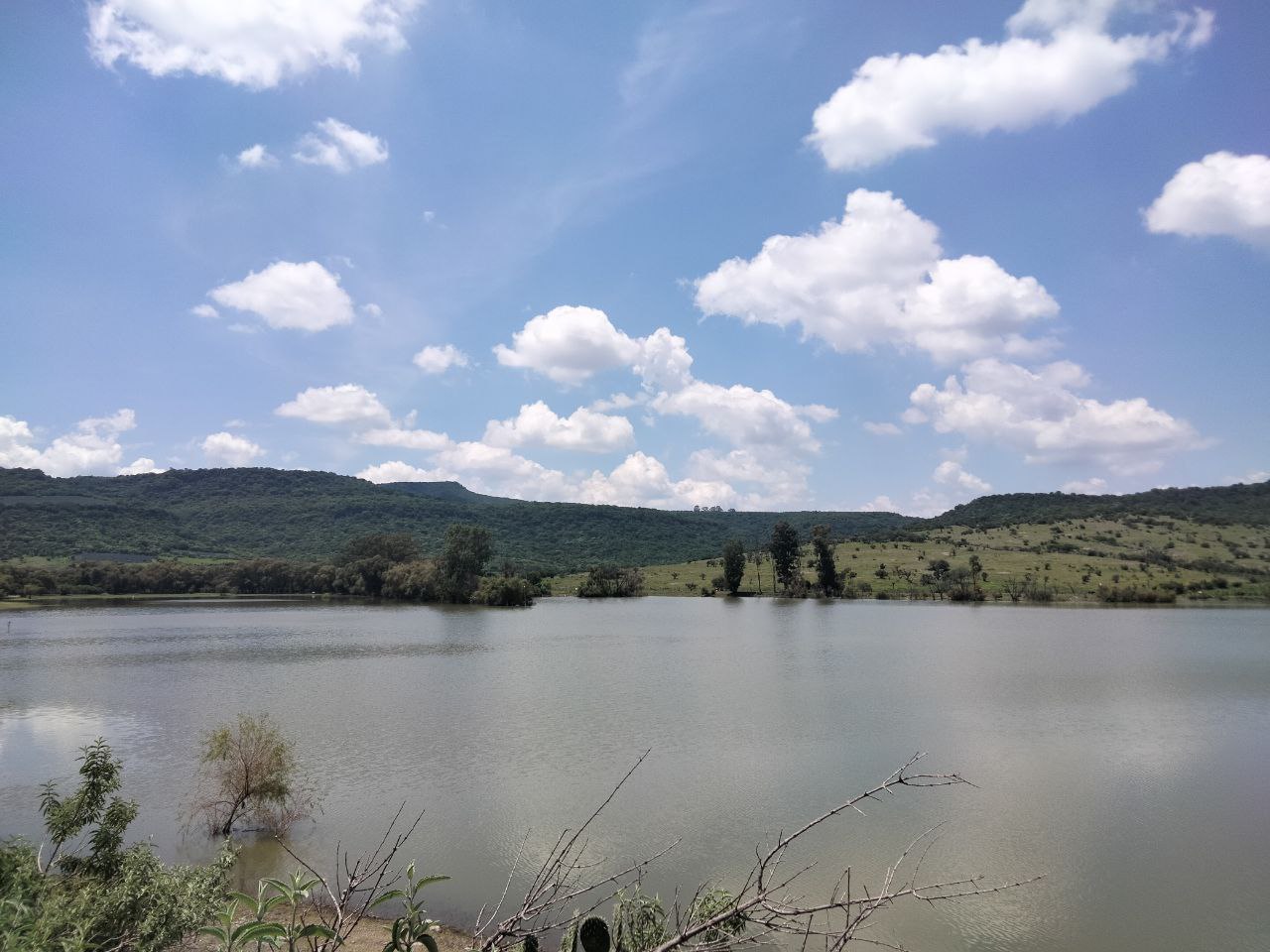 Se desborda presa de Cañada de Negros en Purísima del Rincón; inunda 16 viviendas