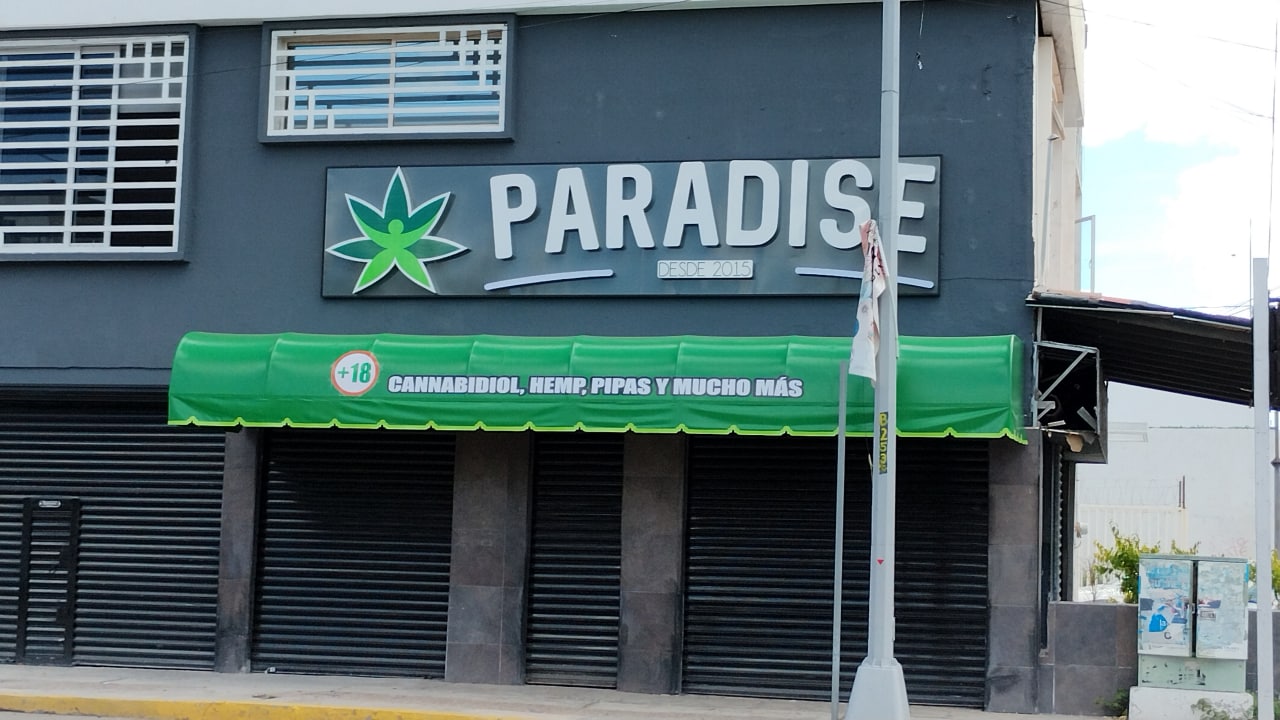 ‘Paradise’ llega a Irapuato y marca la llegada de productos con marihuana en la ciudad