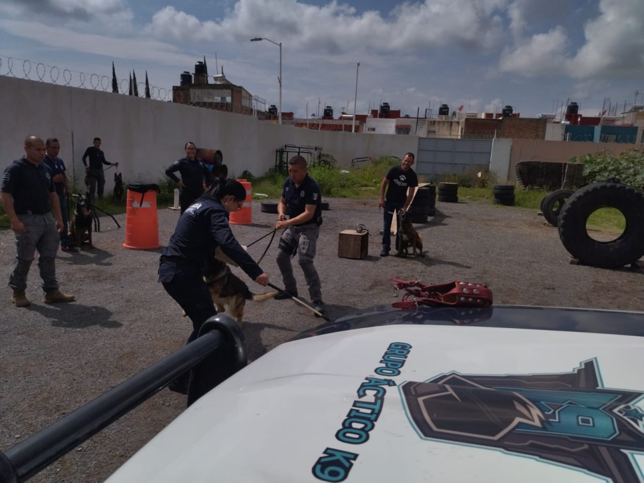 Reforzarán seguridad de Guanajuato capital con más elementos caninos