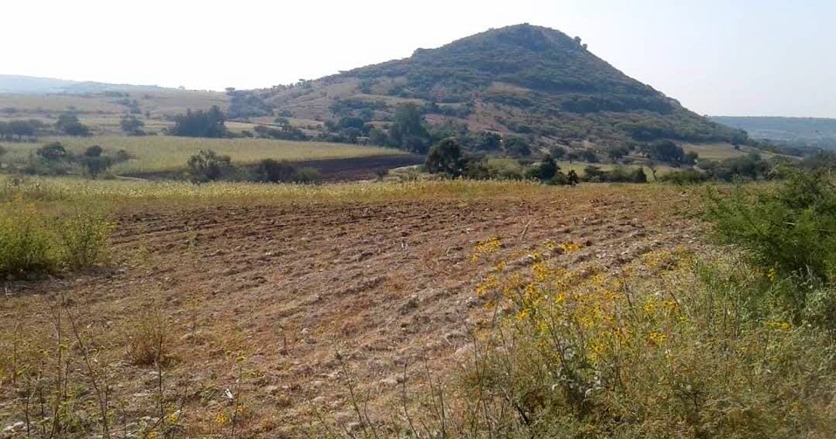 Alertan por saqueo y ‘ecocidio’ en zona arqueológica El Naranjillo en Juventino Rosas