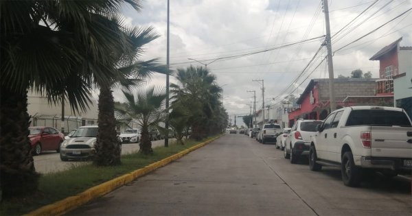 Denuncian plaga de moscos en la zona sur de Salamanca; urgen atención del sector salud