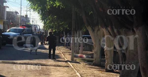 Dejan restos humanos en la plaza principal de la comunidad de Roque en Celaya