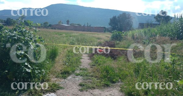 Localizan a joven muerto sobre terreno baldío de Purísima del Rincón