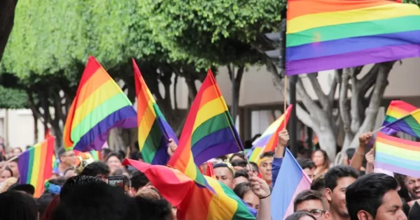 Rubí Araujo pelea en el TEPJF las candidaturas de grupos discriminados