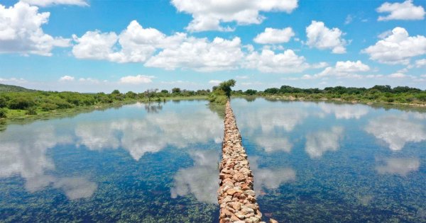 Trabajan para que se nombren otras 2 Áreas Naturales Protegidas en Irapuato