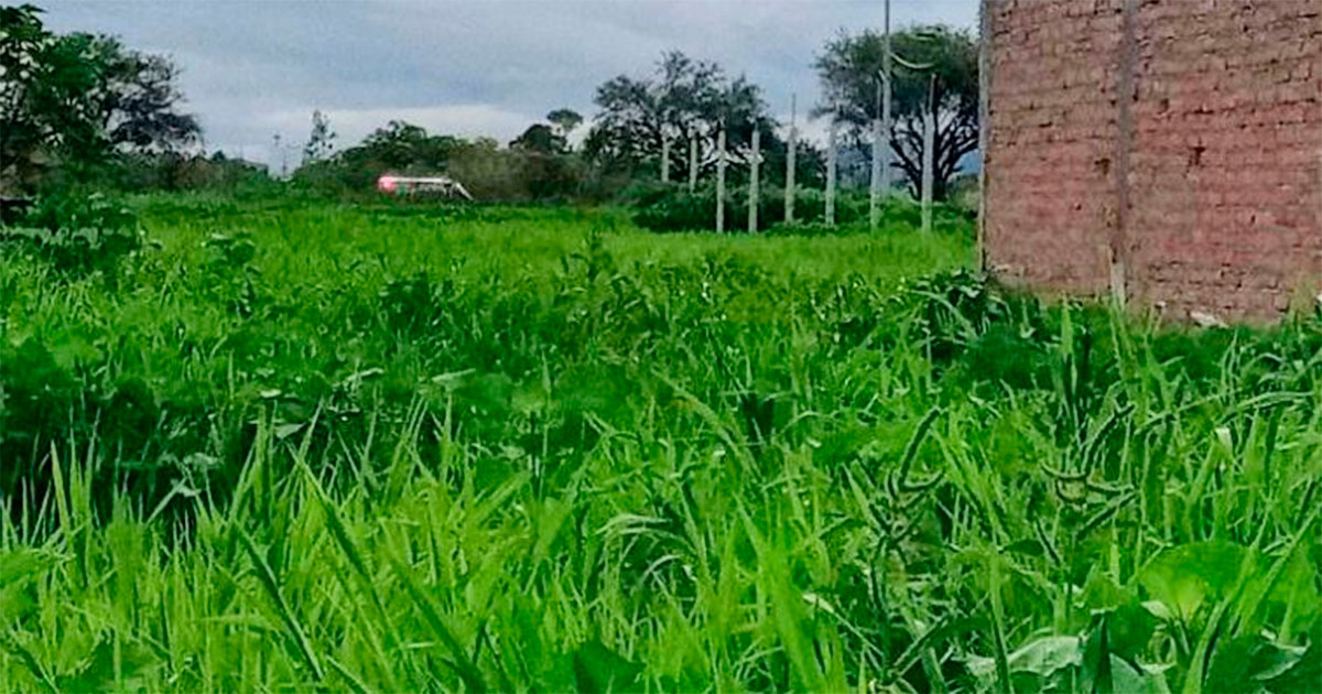 Localizan cuerpo en Villa de los Arcos en Celaya; tenía huellas de violencia