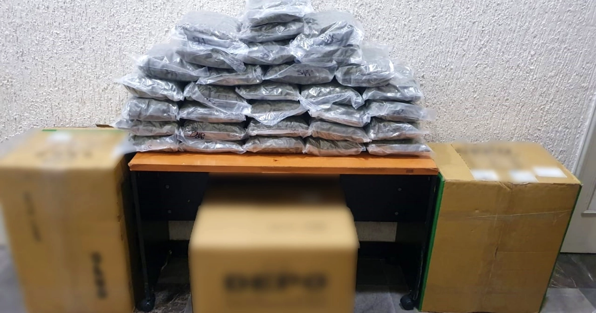 Empaquetada al alto vacío, decomisan marihuana en paquetería de León