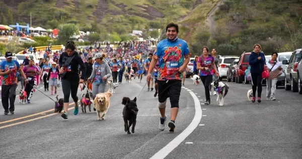 Corre con tu perro: la carrera más peluda de Guanajuato cumple 9 ediciones