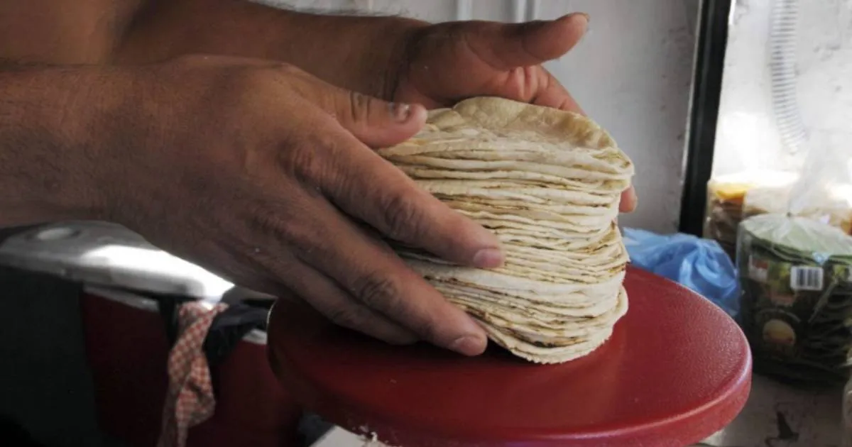 Acuerdan mantener el precio de la tortilla para apoyar a la economía familiar