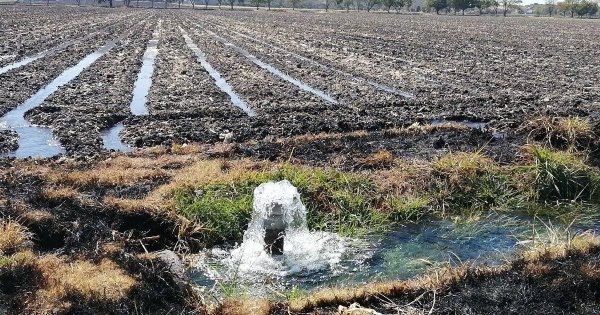 Reducen agua a agricultores de Salamanca por falta de lluvias