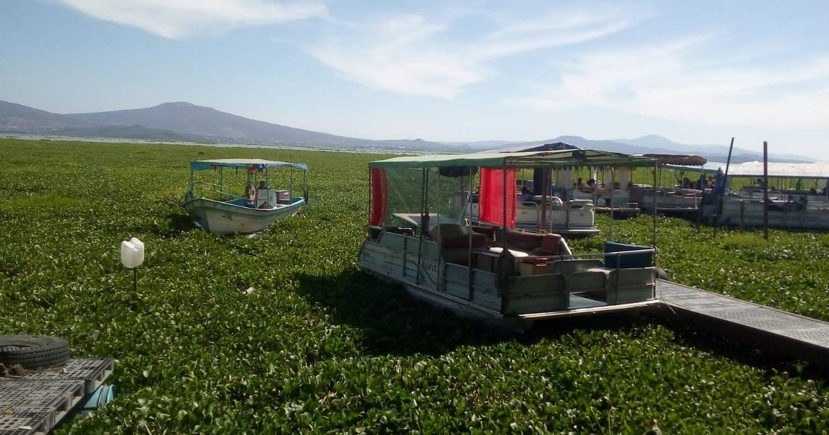 Arrojan hasta tres toneladas diarias de contaminantes a la laguna de Yuriria