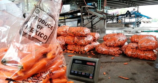 Comercio en Guanajuato logra 27 mil mdd en exportaciones más que 2021