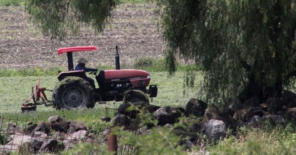 Brindarán apoyo al campo en Guanajuato: otorgarán más de mil pesos por hectárea