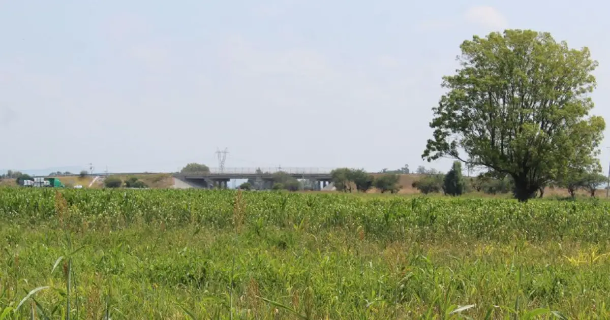 Campesinos urgen asfaltado de camino sacacosechas de Silao, Romita e Irapuato