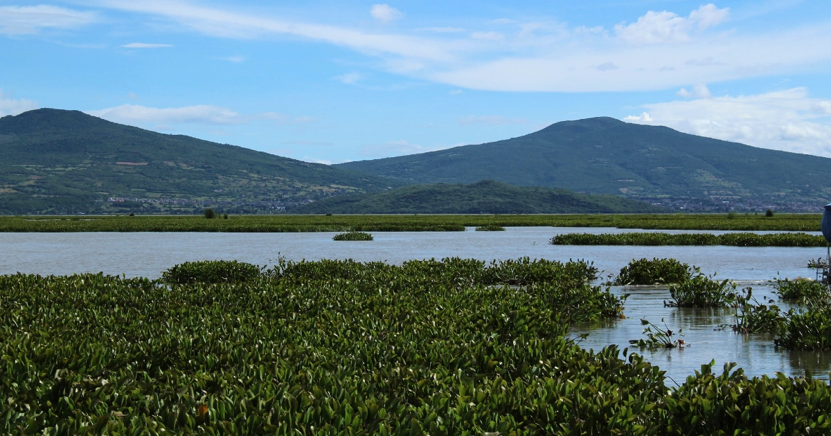 Entre ausencias, impuntualidad y desinterés, se reúne Comité Técnico de la Laguna de Yuriria