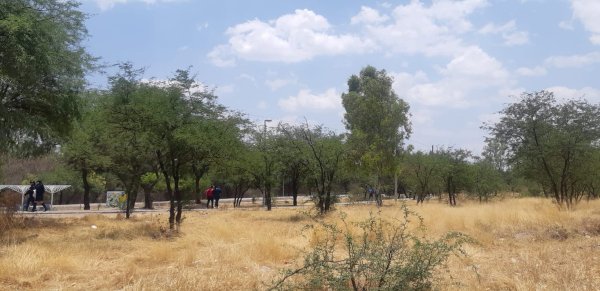 Hay 1 mil 300 guardias ambientales en Guanajuato; 400 de ellos en Salamanca