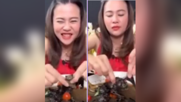 Arrestan a youtuber por comer ‘caldito’ de murciélago en Tailandia