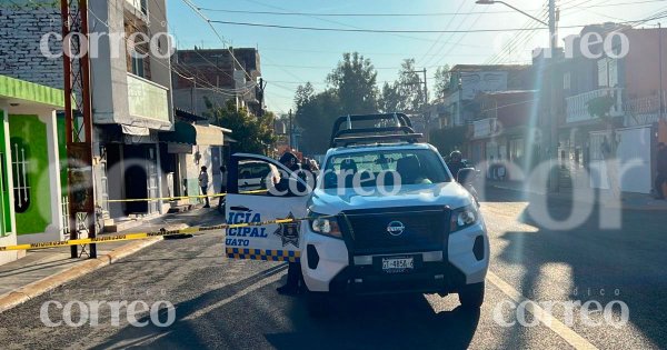 Hielera con cabeza de puerco en Los Cobos causa alarma en Irapuato