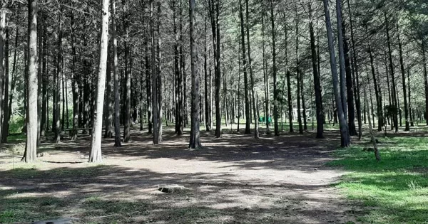 ¿Sin planes para el puente? Puedes visitar Ecoparque El Galán de Tarimoro