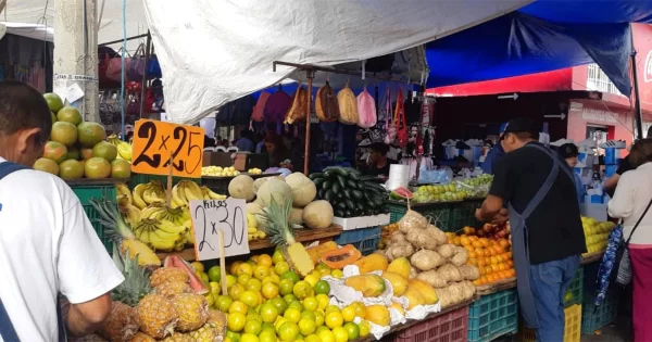 Tianguis del Coecillo y el Hidalgo se instalarán dos veces por semana en León