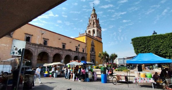 Tras ecocidio, buscan rescatar el Jardín de San Agustín de Celaya con nuevas plantas