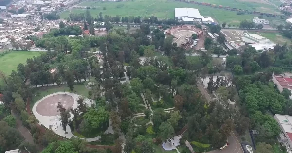 Irapuato: Proponen ‘Paleta Vegetal’ para saber qué arboles plantar