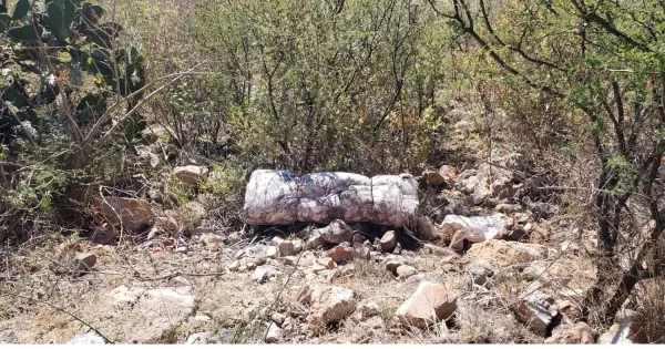 Entre la sobreexplotación y la basura, peligra zona natural de la Sierra de Pénjamo