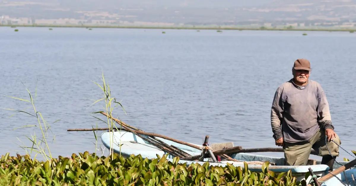 Piden a pescadores de Yuriria regular una pesca casi inexistente