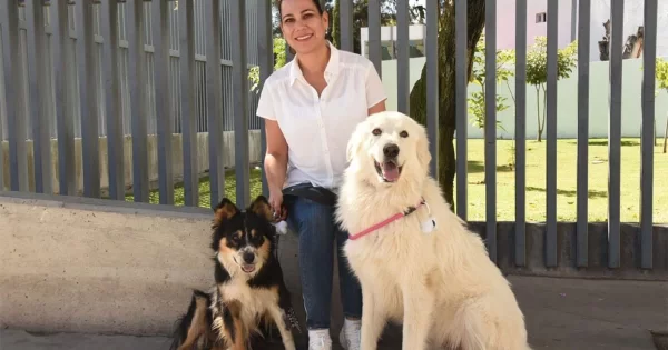 Presentan programa ‘Con paso firme por el bienestar animal’ en Irapuato