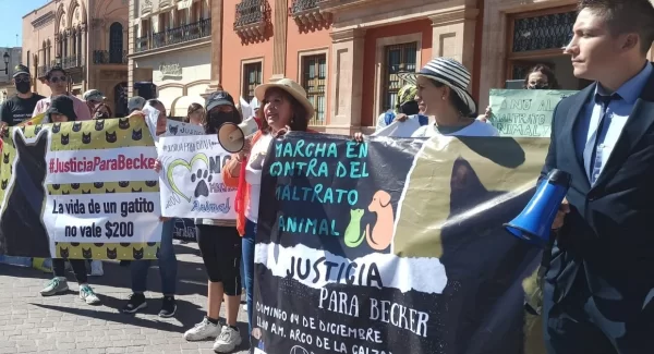 Al grito de “Justicia para Becker” exigen alto al maltrato animal en León