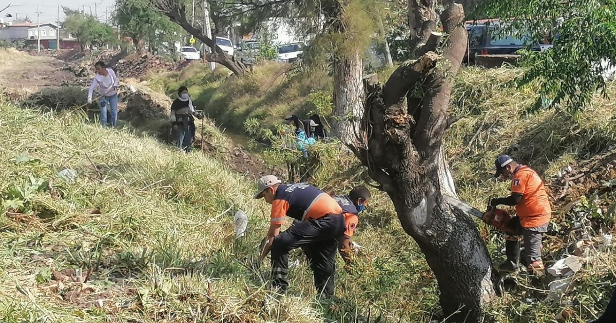 Irapuato: elementos de Protección Civil detenidos por alterar orden siguen laborando