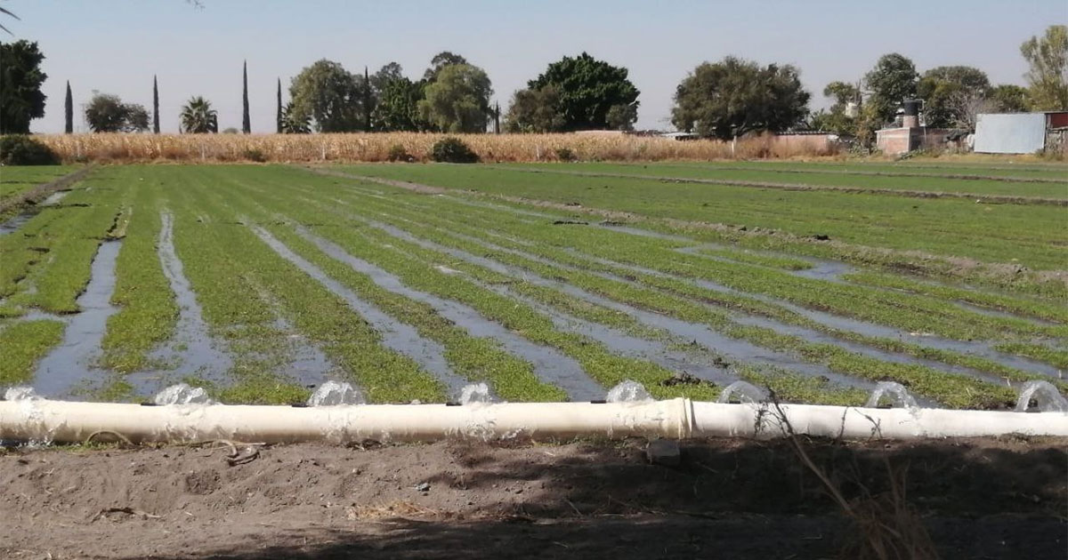 SDAyR advierte por crisis de agua para campo de Guanajuato en 2023