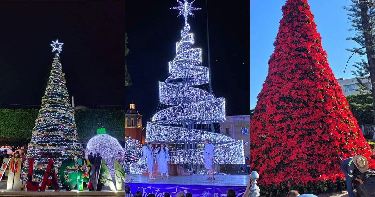 ¿Cuál es tu favorito? Lanzan concurso para el árbol de Navidad más bonito de Guanajuato