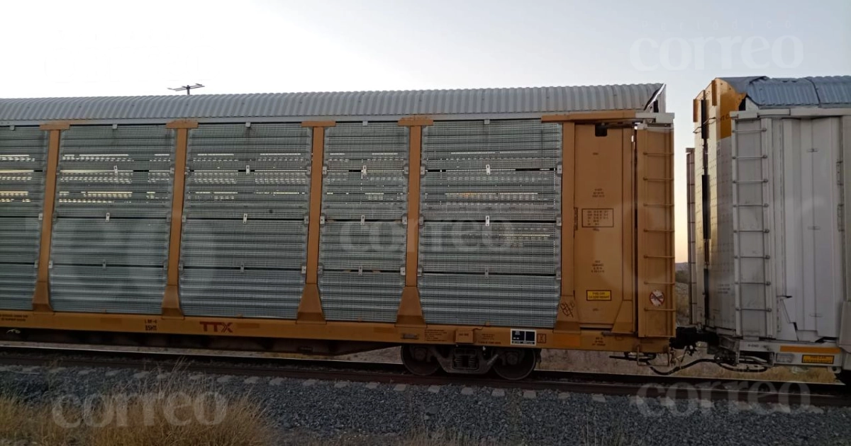 Madre e hijo fallecen tras ser embestidos por el tren en San Miguel de Allende